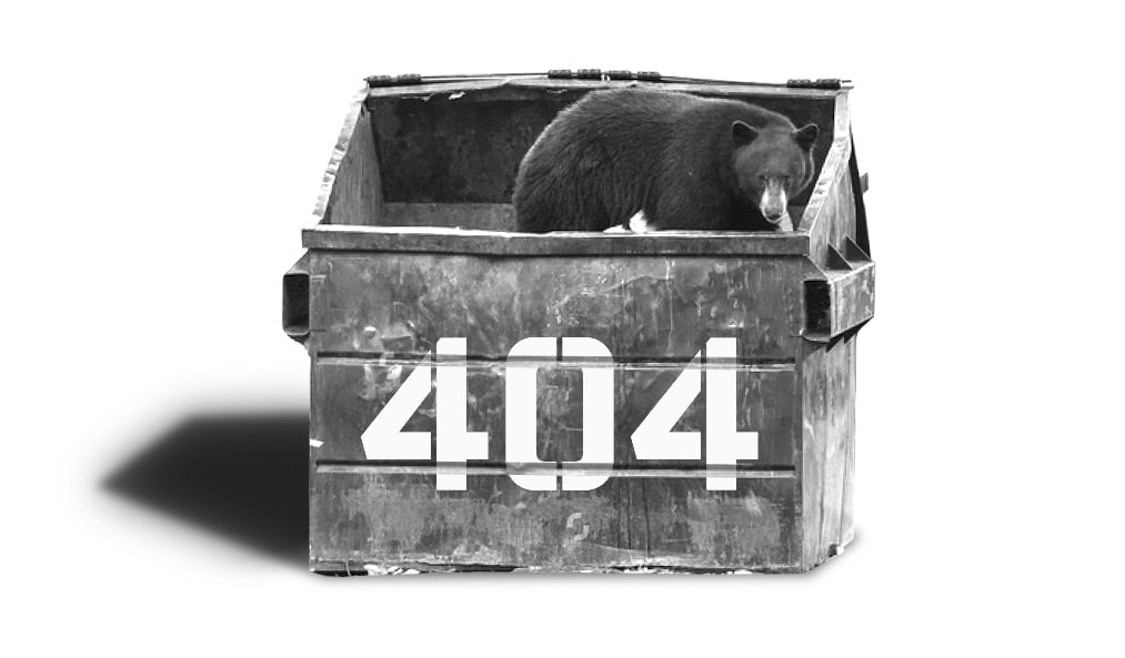 Black bear in a dumpster that has 404 painted on it